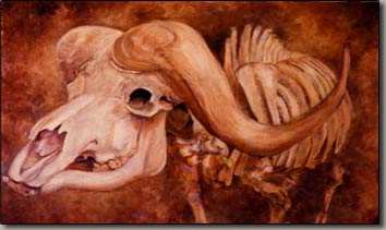 charcoal skull anatomy, innovative and imaginative ways to draw people, portraits