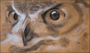 free online art lessons, art instruction, charcoal wildlife art, drawing