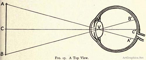 the human eye, the eye and art