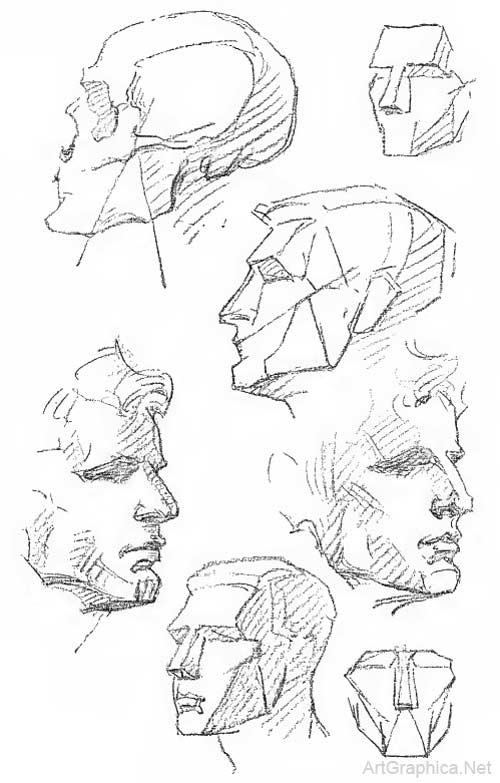 Drawing the human head, anatomy art tutorial