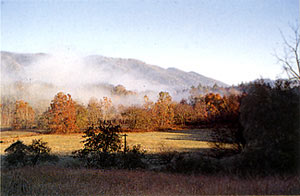 early morning in the smokies